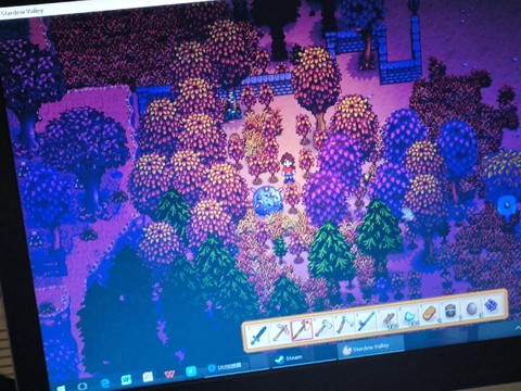 星露谷物语怎么搜不到[图2]