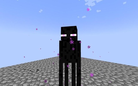 我的世界怎么困住末影人