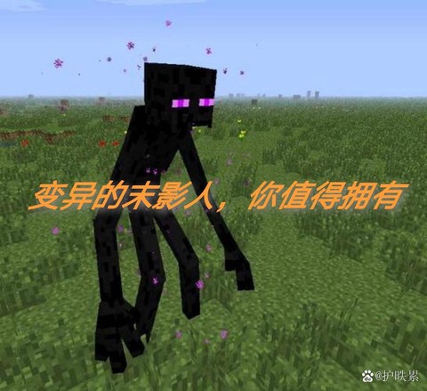 我的世界怎么困住末影人[图1]