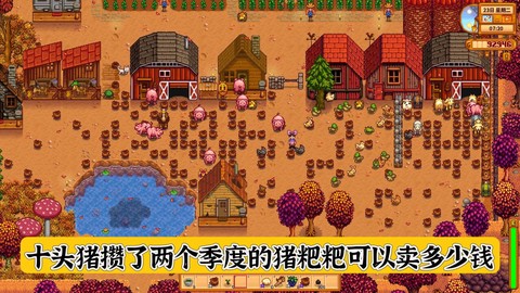 星露谷物语猪怎么养[图2]