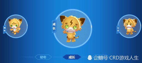 qq飞车飞虎王怎么的