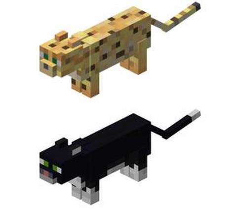 我的世界里豹猫吃什么[图1]